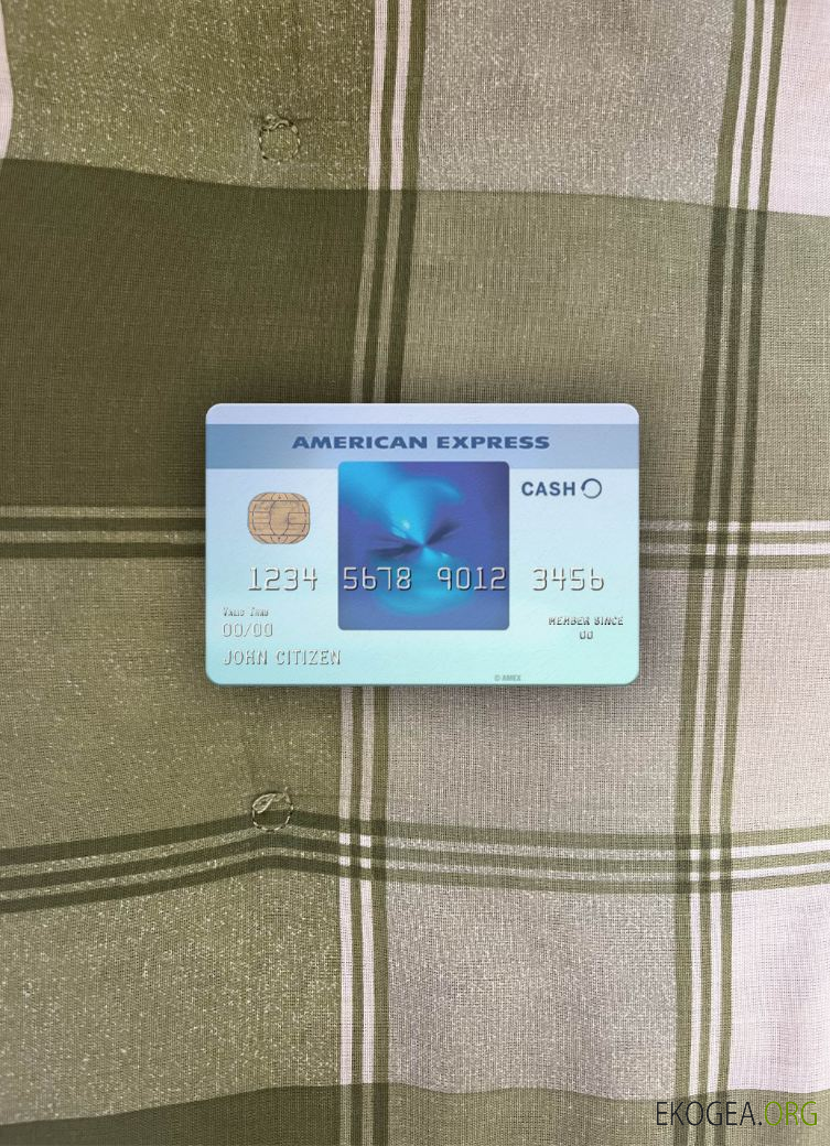 USA Californie BlueVine Bank Blue Cash Everyday® Carte d'AMEX photolook ,